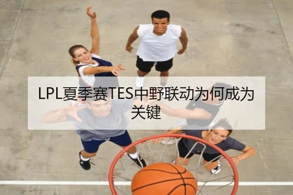 LPL夏季赛TES中野联动为何成为关键